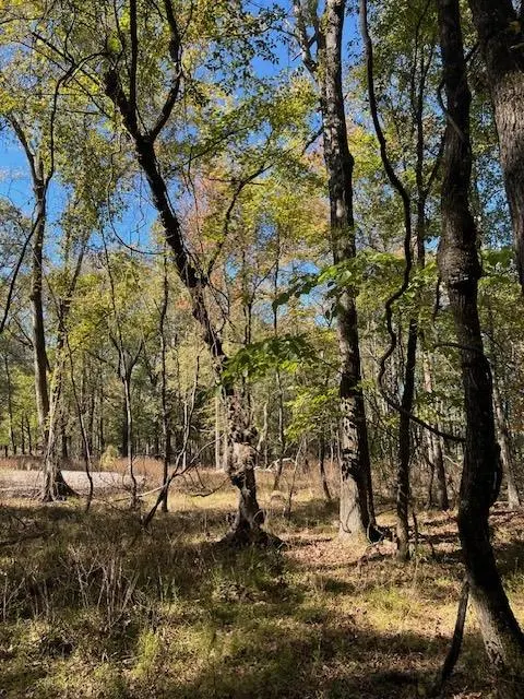 Photo 4 — 196 Deer Valley Circle, Broken Bow, OK 74728