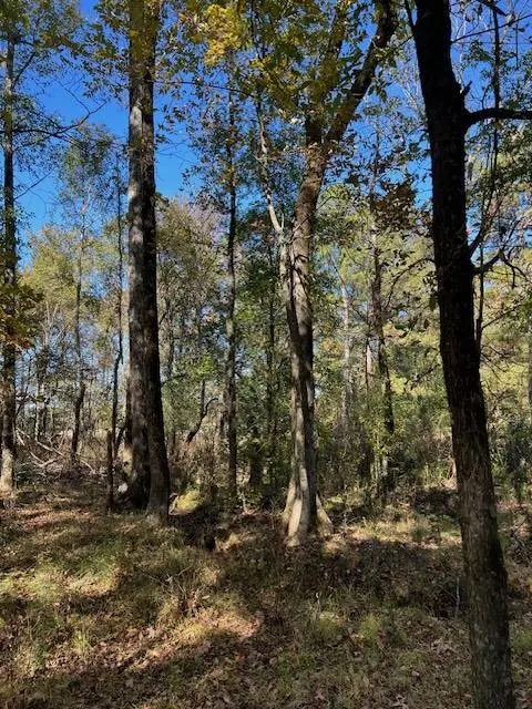 Photo 5 — 196 Deer Valley Circle, Broken Bow, OK 74728