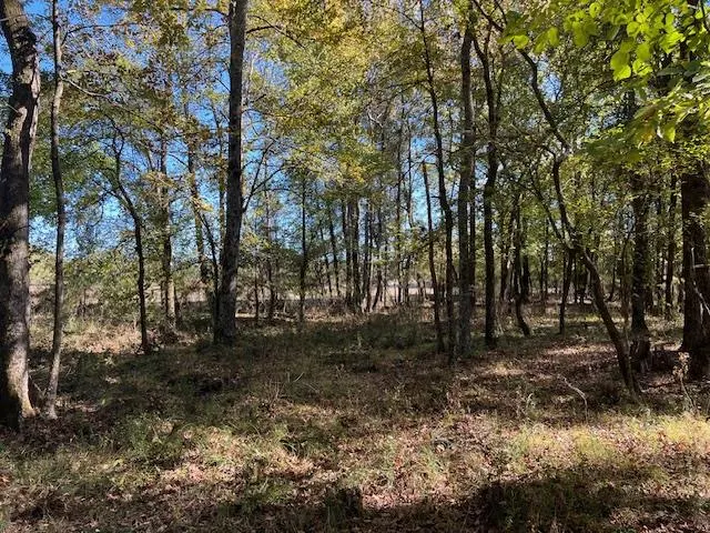 Photo 6 — 196 Deer Valley Circle, Broken Bow, OK 74728