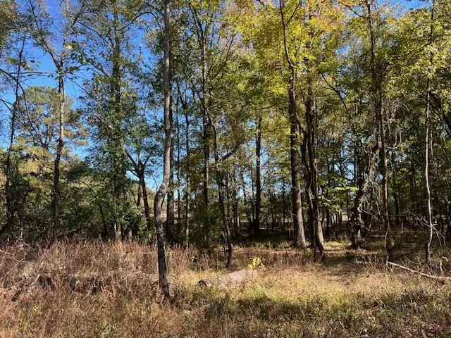 Photo 7 — 196 Deer Valley Circle, Broken Bow, OK 74728