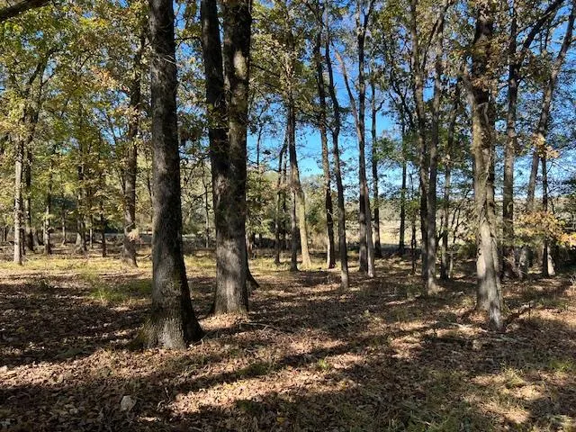Photo 2 — 197 Deer Valley Circle, Broken Bow, OK 74728