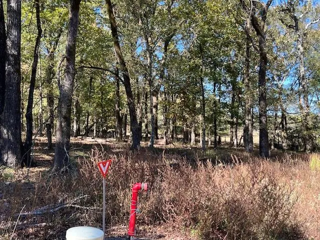 Photo 3 — 197 Deer Valley Circle, Broken Bow, OK 74728