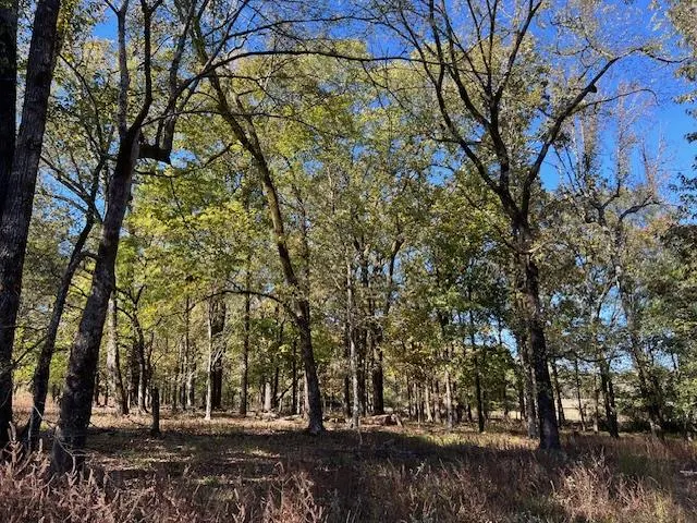 Photo 4 — 197 Deer Valley Circle, Broken Bow, OK 74728