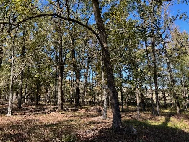 Photo 5 — 197 Deer Valley Circle, Broken Bow, OK 74728