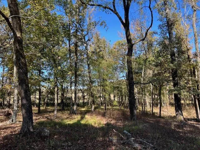 Photo 6 — 197 Deer Valley Circle, Broken Bow, OK 74728