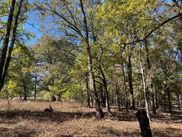 Photo 7 — 197 Deer Valley Circle, Broken Bow, OK 74728