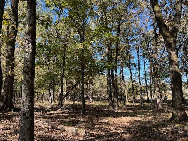 Photo 9 — 197 Deer Valley Circle, Broken Bow, OK 74728