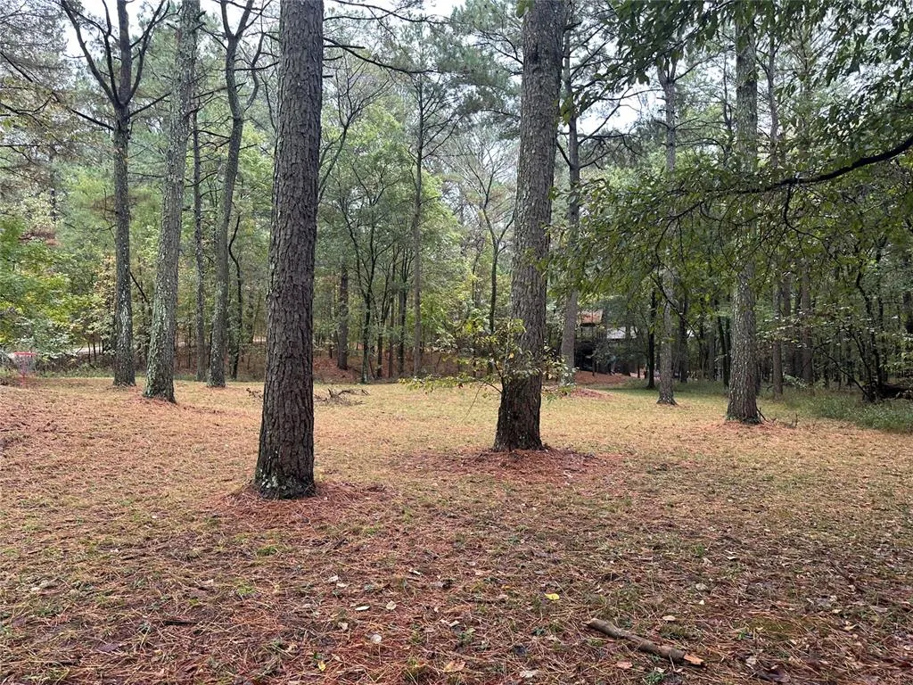 Front exterior — Lot 27, Hochatown, OK 74728