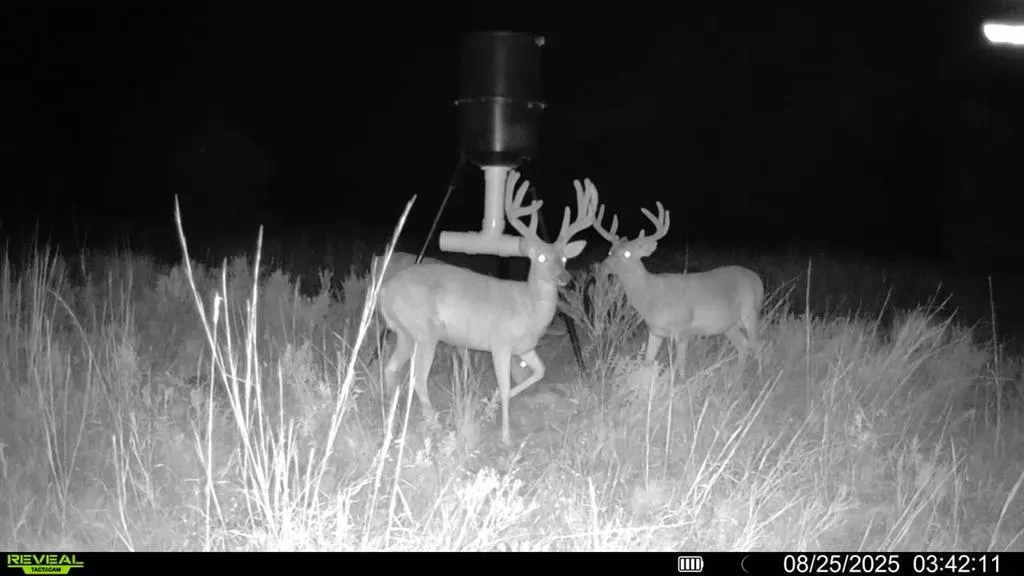 Photo 7 — 000 Cemetery Road, Noble, OK 73068