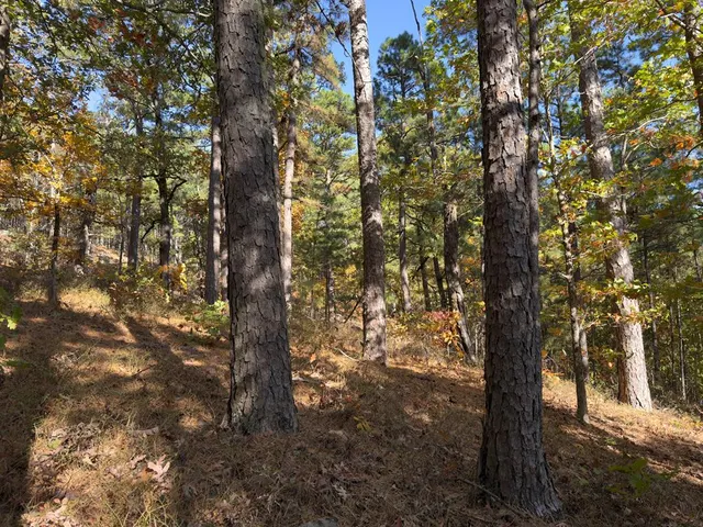 Photo 8 — Indian Highway 144, Honobia, OK 74549