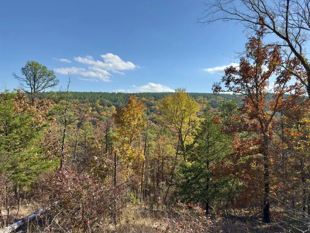 Photo 10 — Indian Highway 144, Honobia, OK 74549