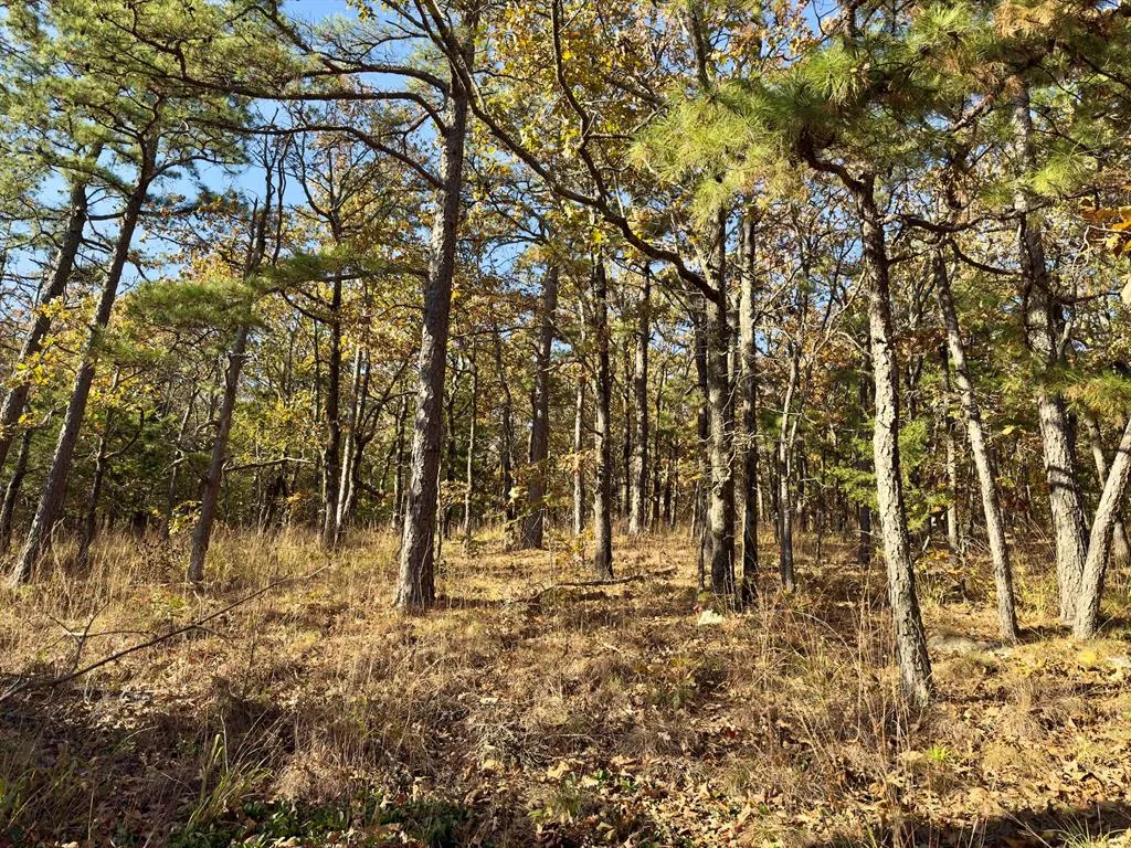 Photo 13 — Indian Highway 144, Honobia, OK 74549