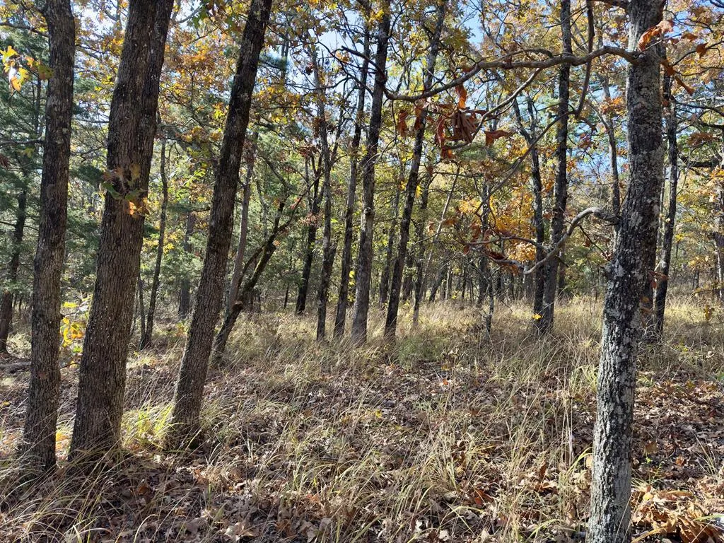 Photo 15 — Indian Highway 144, Honobia, OK 74549