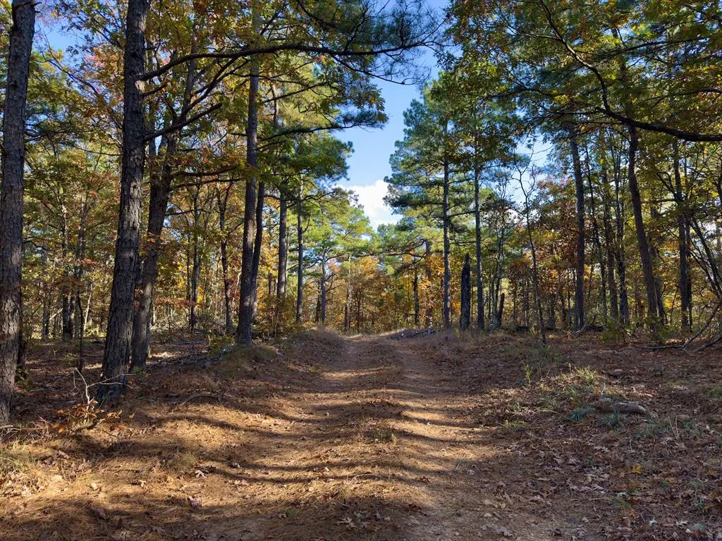 Photo 16 — Indian Highway 144, Honobia, OK 74549