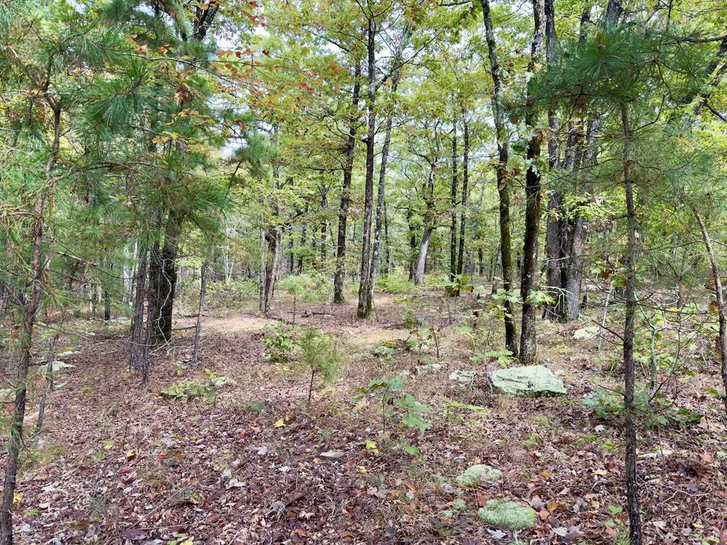 Photo 25 — Indian Highway 144, Honobia, OK 74549