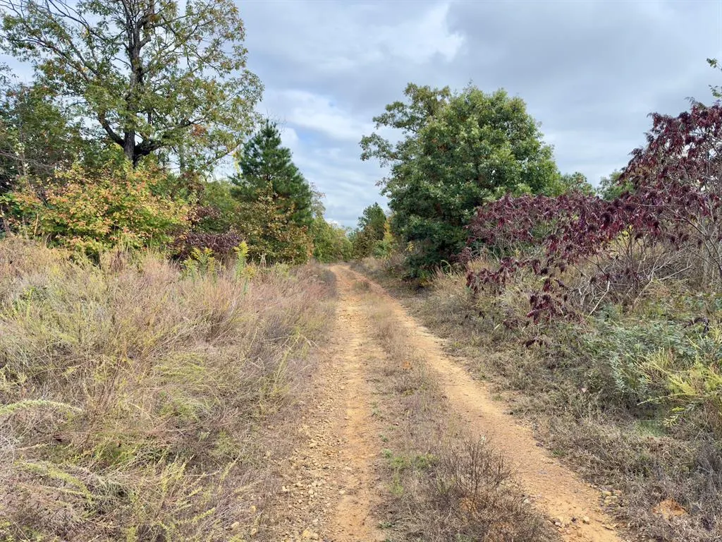 Photo 27 — Indian Highway 144, Honobia, OK 74549