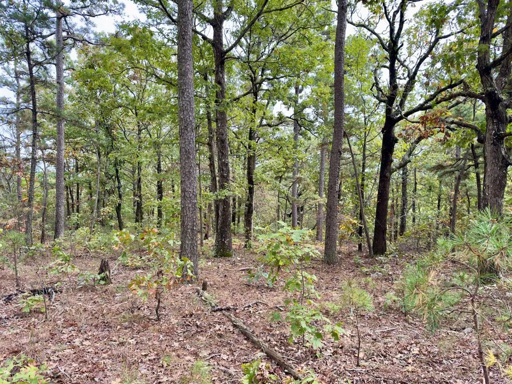 Photo 28 — Indian Highway 144, Honobia, OK 74549
