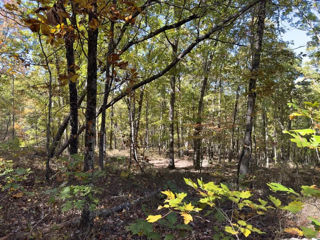 Photo 32 — Indian Highway 144, Honobia, OK 74549