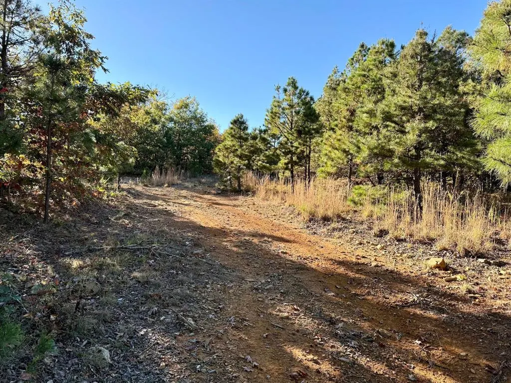 Photo 43 — Indian Highway 144, Honobia, OK 74549