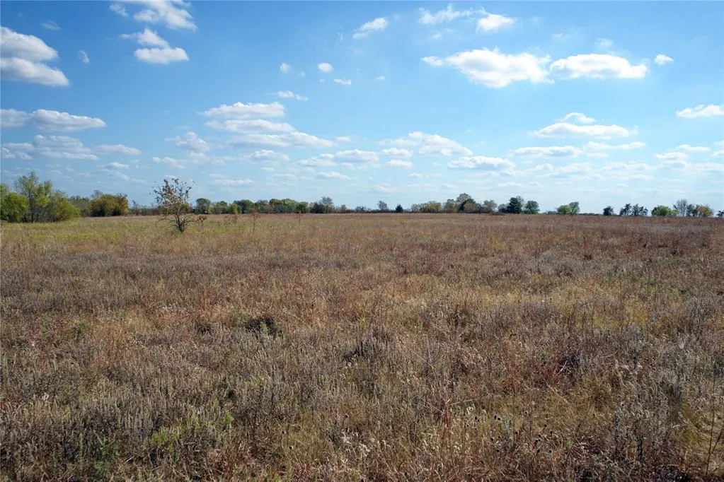 Photo 5 — 20 Turnbull Road, Caddo, OK 74729
