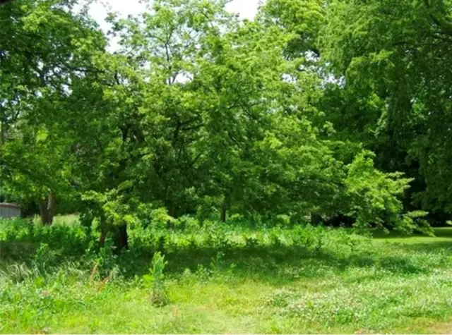Photo 2 — 221 N Cedar Street, Pauls Valley, OK 73075