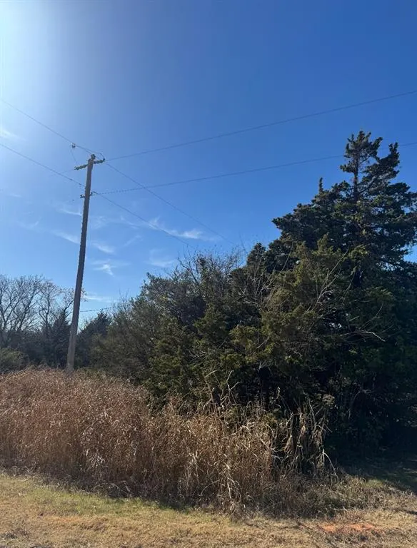 Photo 6 — Cotton Wood Circle, Cashion, OK 73016