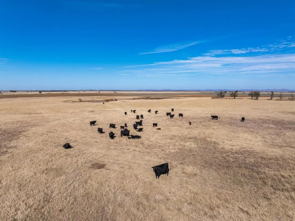 Photo 24 — 17847 SW New Hope Road, Faxon, OK 73540