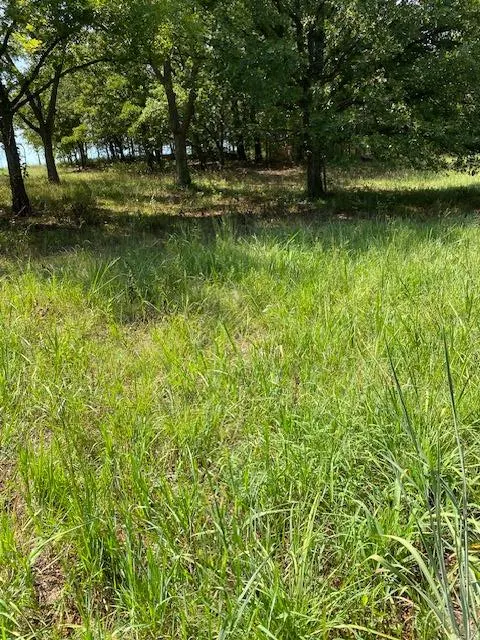 Photo 3 — 0 E 890 Road, Chandler, OK 74834