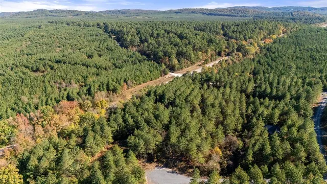 Photo 3 — 14 Gopher Wood Trail, Broken Bow, OK 74728