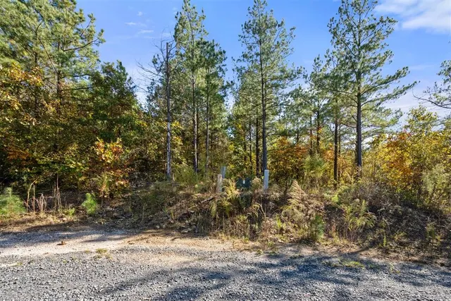 Photo 6 — 14 Gopher Wood Trail, Broken Bow, OK 74728