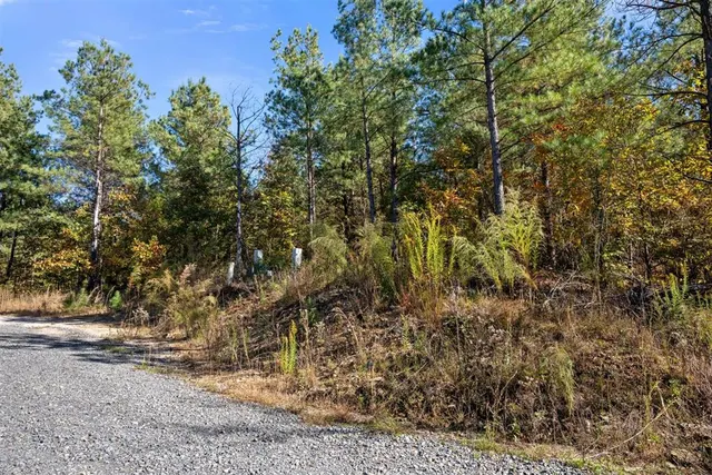 Photo 7 — 14 Gopher Wood Trail, Broken Bow, OK 74728