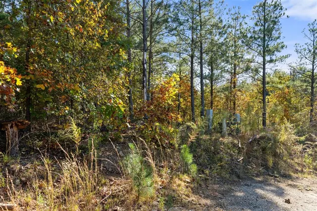 Photo 8 — 14 Gopher Wood Trail, Broken Bow, OK 74728