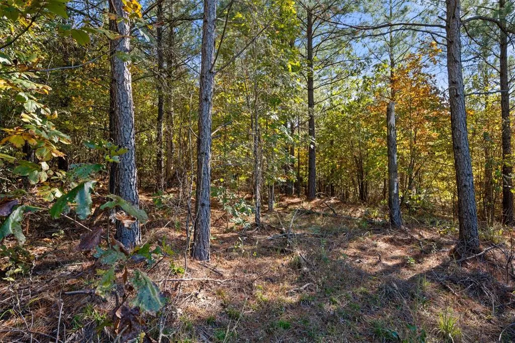 Photo 9 — 14 Gopher Wood Trail, Broken Bow, OK 74728