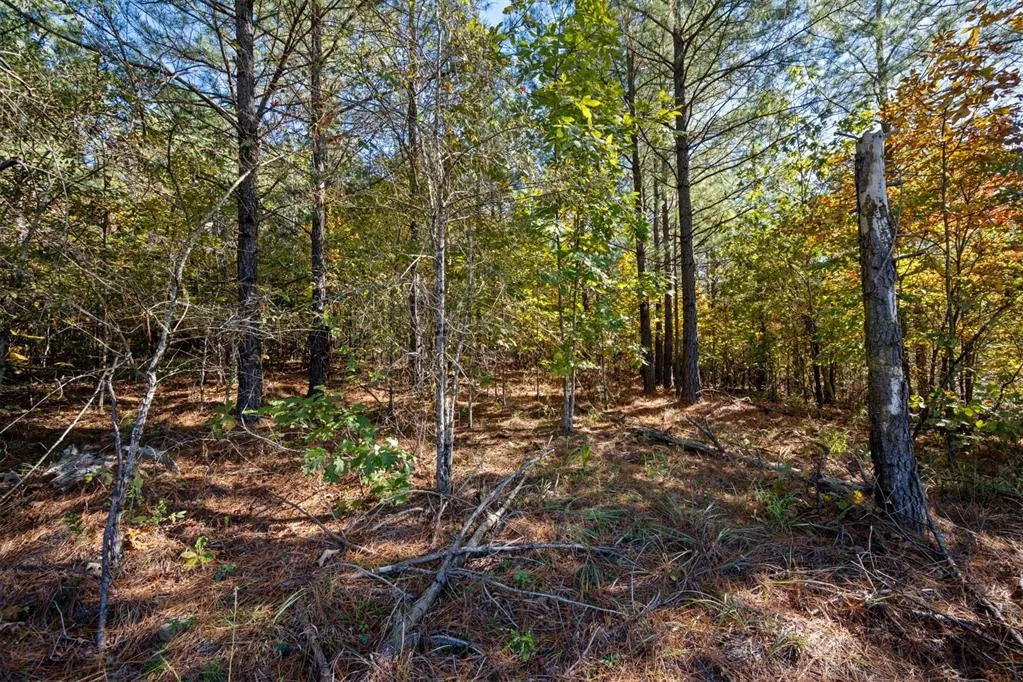 Photo 10 — 14 Gopher Wood Trail, Broken Bow, OK 74728
