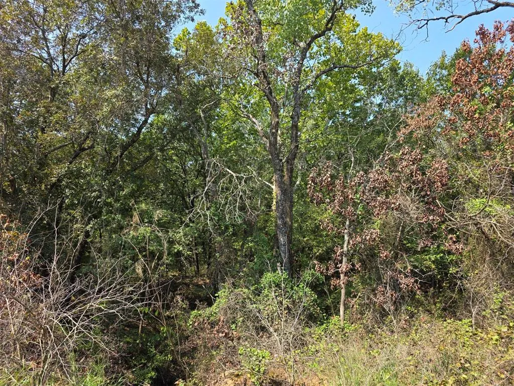 Photo 9 — 000 NS 359 Road, Wewoka, OK 74884