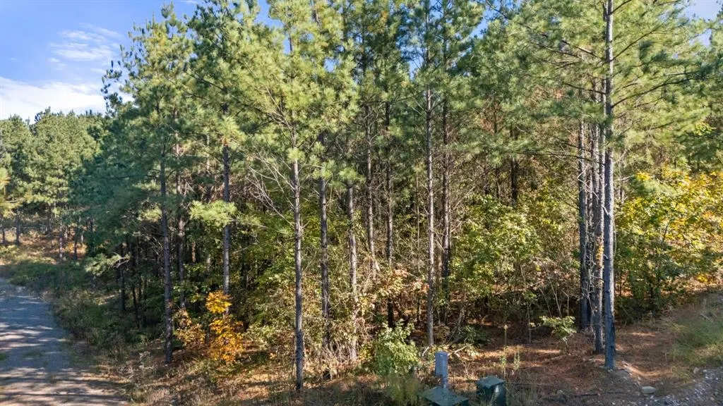 Photo 2 — 24 Cedar Tree Trail, Broken Bow, OK 74728