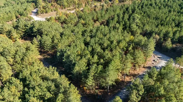 Photo 5 — 24 Cedar Tree Trail, Broken Bow, OK 74728