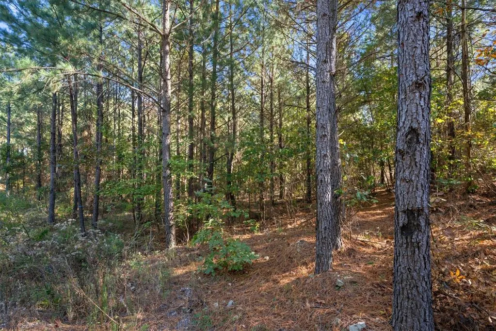 Photo 18 — 24 Cedar Tree Trail, Broken Bow, OK 74728