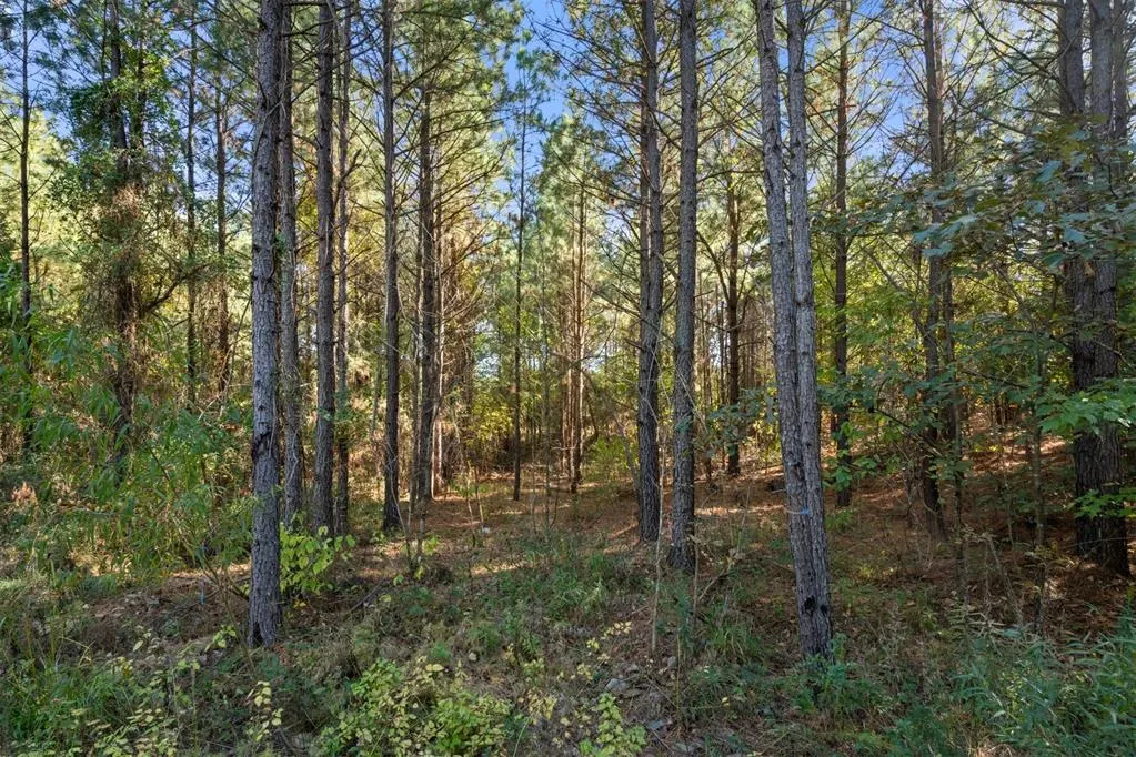 Photo 19 — 24 Cedar Tree Trail, Broken Bow, OK 74728