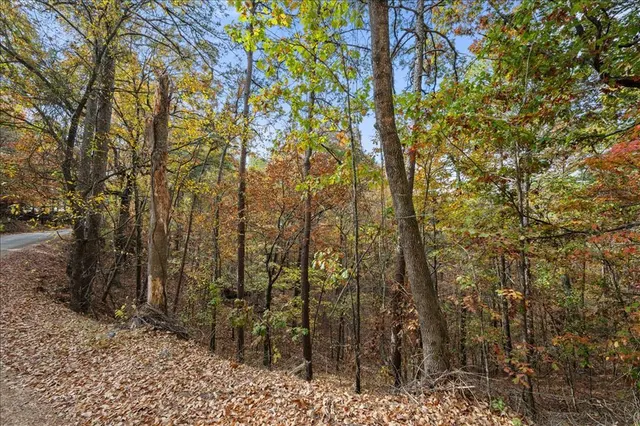 Photo 2 — Southern Hills Circle, Broken Bow, OK 74728