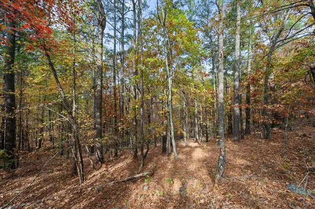 Photo 3 — Southern Hills Circle, Broken Bow, OK 74728