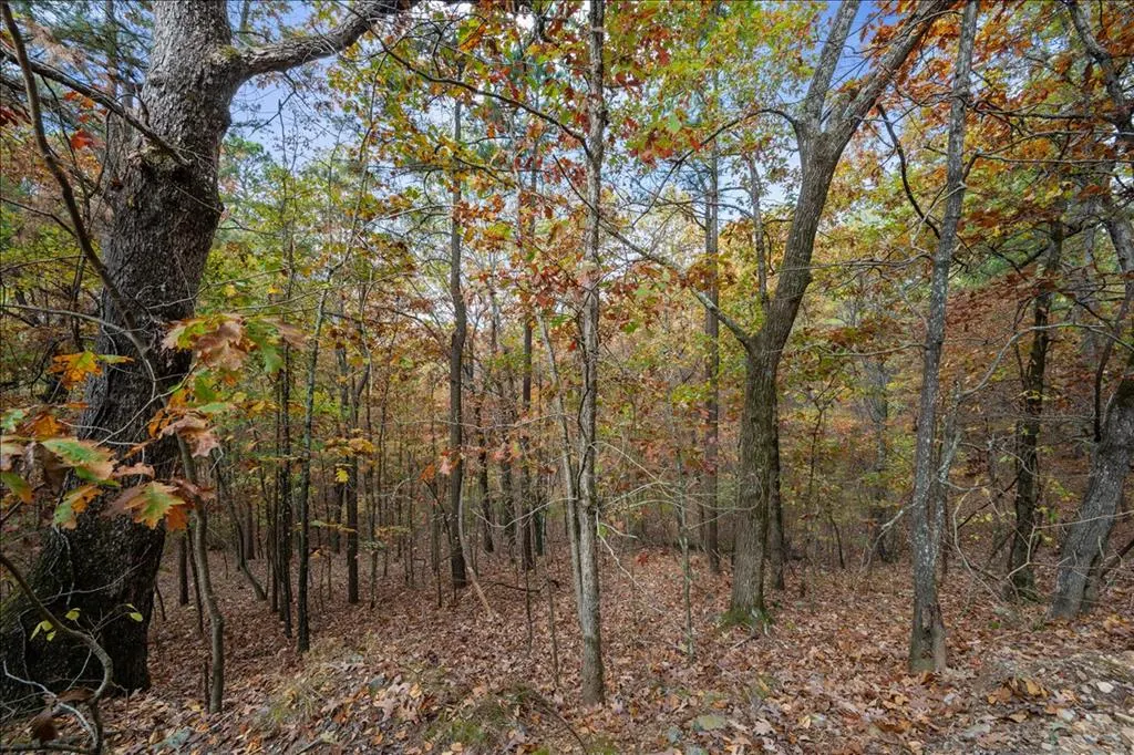 Photo 4 — Southern Hills Circle, Broken Bow, OK 74728
