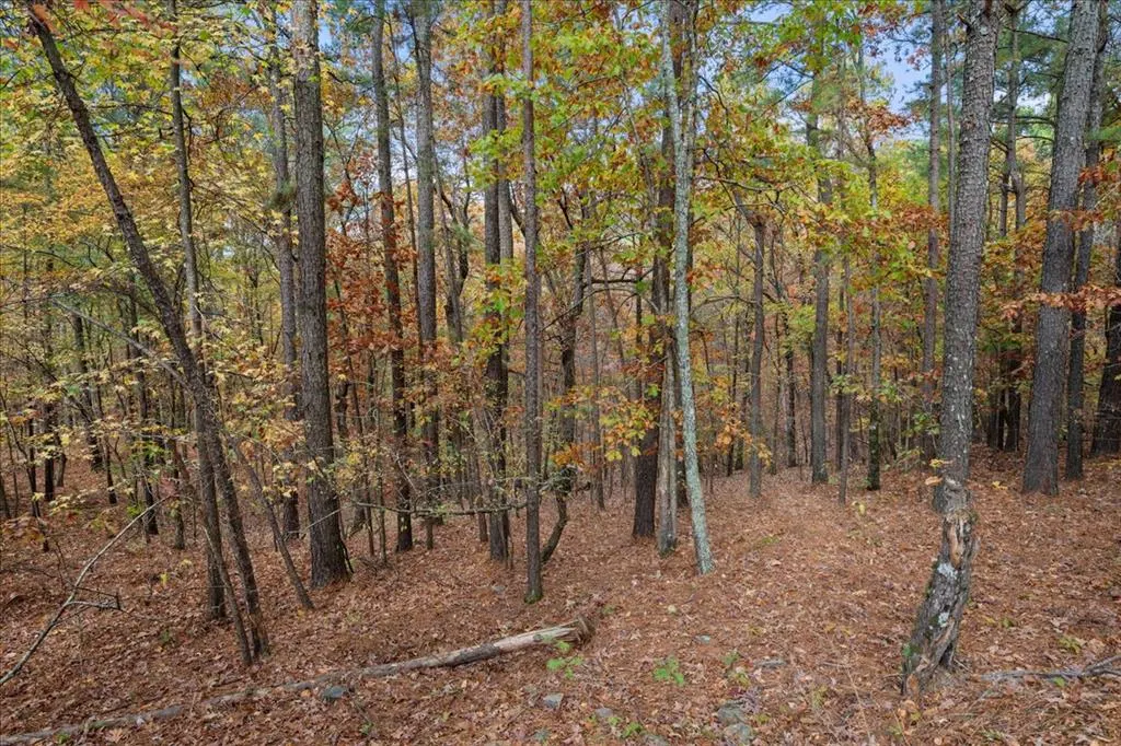 Photo 7 — Southern Hills Circle, Broken Bow, OK 74728