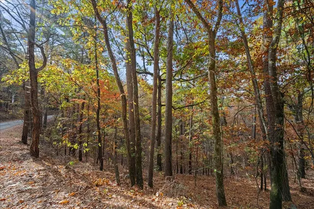 Photo 8 — Southern Hills Circle, Broken Bow, OK 74728
