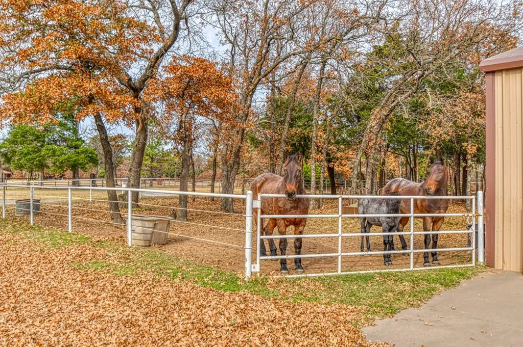 Photo 47 — 17935 Fishmarket Road, McLoud, OK 74851