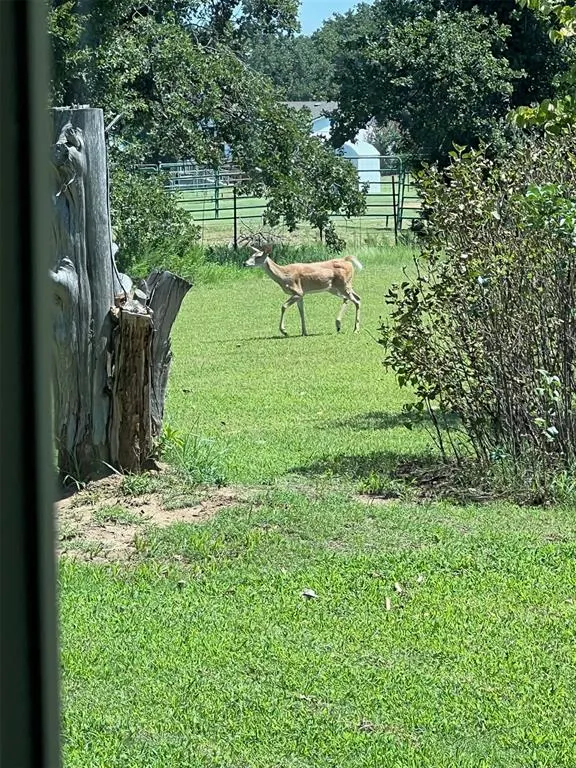 Photo 5 — 11181 N Dobbs Road, Luther, OK 73054