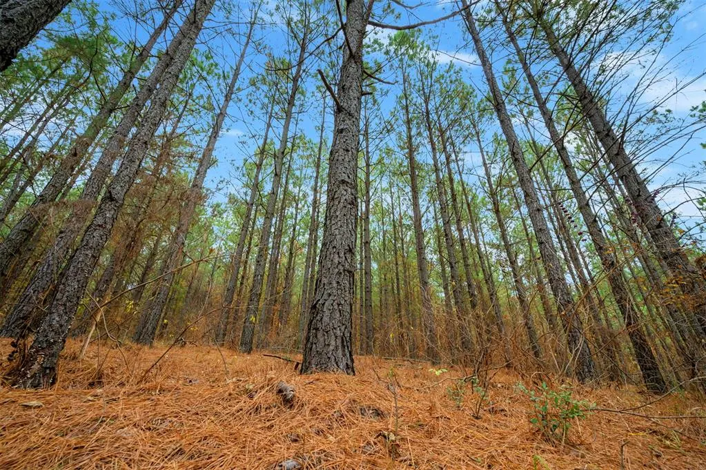 Photo 8 — 295 Hochapine Trail, Broken Bow, OK 74728