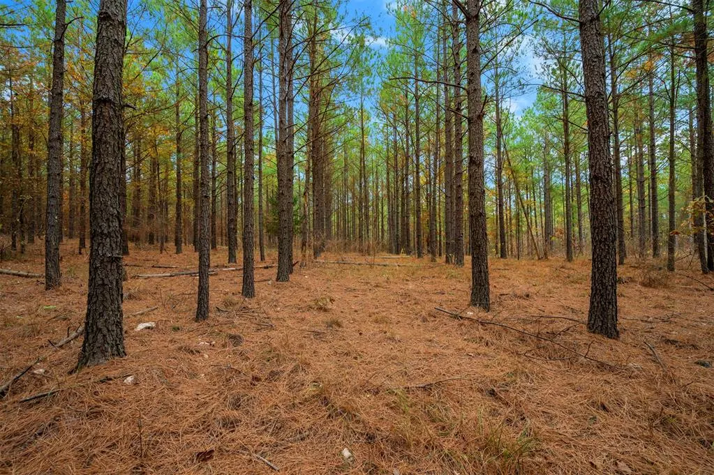 Photo 10 — 17 Hochacedar Trail, Broken Bow, OK 74728