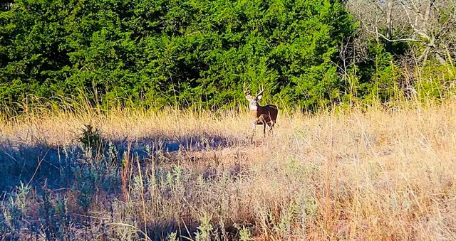 Photo 3 — 0000 N Harrah Road Lot 9, Luther, OK 73054