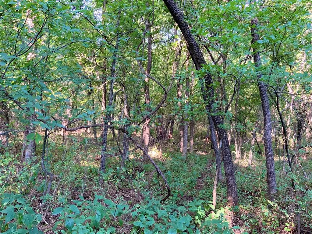 Photo 12 — 0000 N Harrah Road Lot 10, Luther, OK 73054